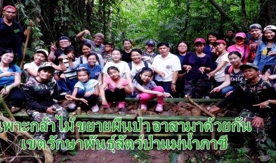 cover Planting Seedlings, Expanding Forests, Volunteering Together: Mae Nam Phachi Wildlife Sanctuary