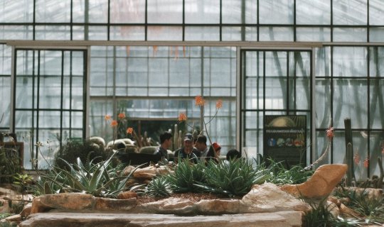 Cover Exploring Giant Cacti at the Queen Sirikit Botanic Garden
This sent...