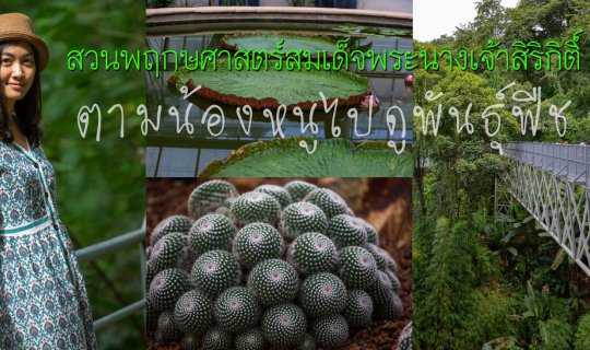 Cover Follow me to see the plant species at the Queen Sirikit Botanic Gard...