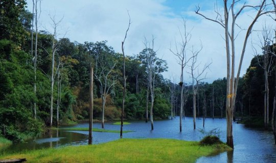 Cover Sor Tue Lake, a hidden gem in Mae Hong Son, Thailand....