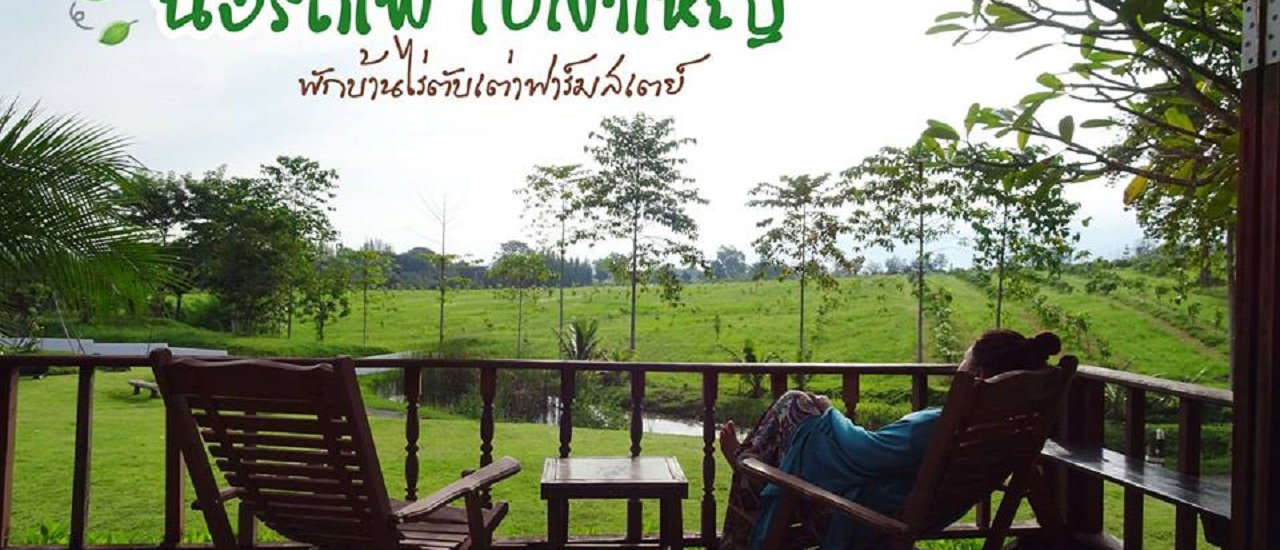 cover Take the train to Khao Yai and stay at Baan Rai Tab Tao Farmstay.