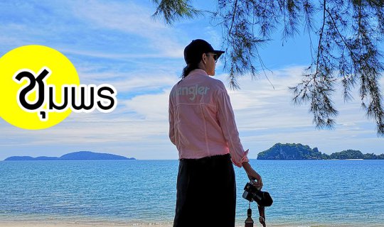 Cover Visiting Chumphon: Mangrove Planting + Fun Activities and Food...