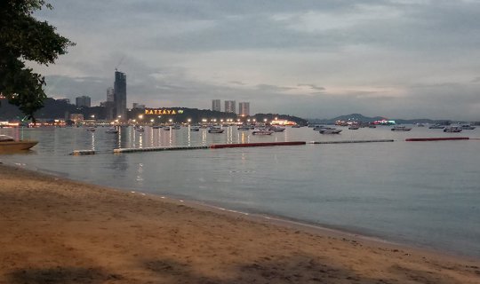 Cover Must-Try Restaurants in the Heart of Pattaya...