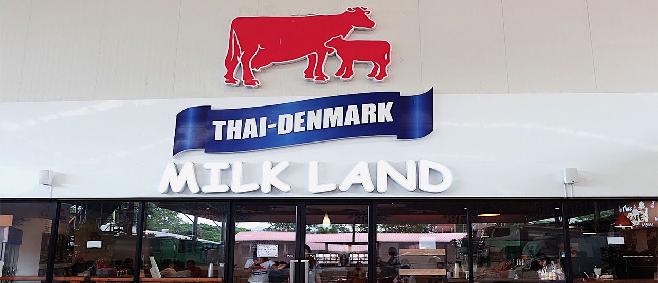 cover ThaiDenmark MilkLand  Mวกเหล็ก/สระบุรี 
Thai-Denmark Milk Land  Mวกเหล็ก/สระบุรี