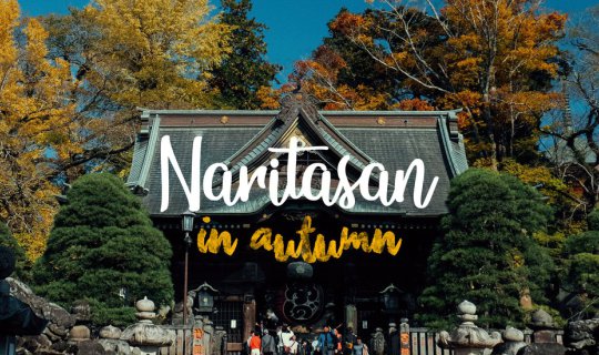 Cover Naritasan in Autumn: Beauty Seen Through the Lens...
