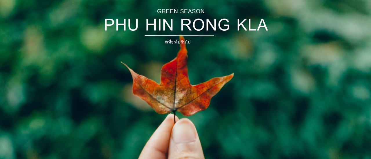 cover "Emerald amidst the mist: Phu Hin Rong Kla National Park"