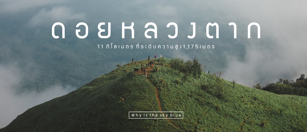cover Doi Luang Tak - Embrace the misty air and breathe deeply.
