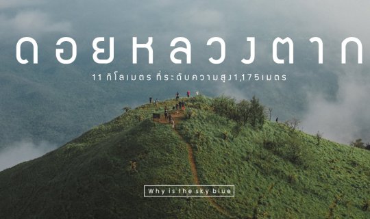 Cover Doi Luang Tak - Embrace the misty air and breathe deeply....
