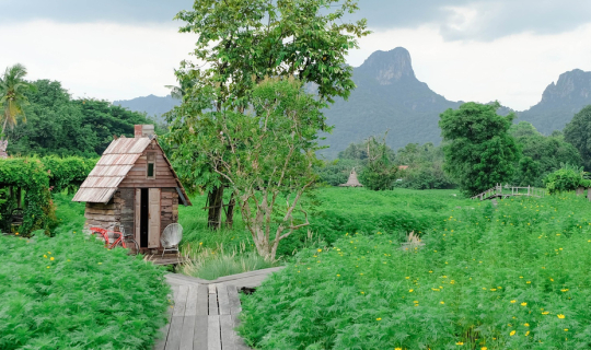 Cover 🌼คาเฟ่ทุ่งดอกคอตมอส วิวหลักล้าน  #ลพบุรี...