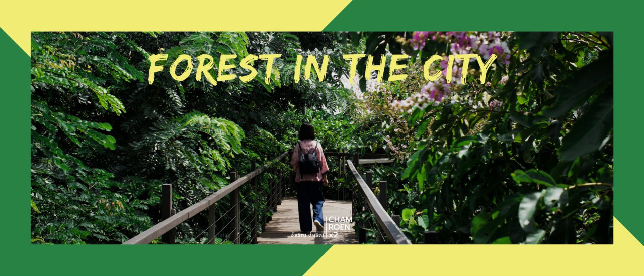 cover Longing for the color green, let's go on a trip to... the forest in the city.