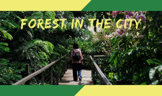 Cover Longing for the color green, let's go on a trip to... the forest in ...