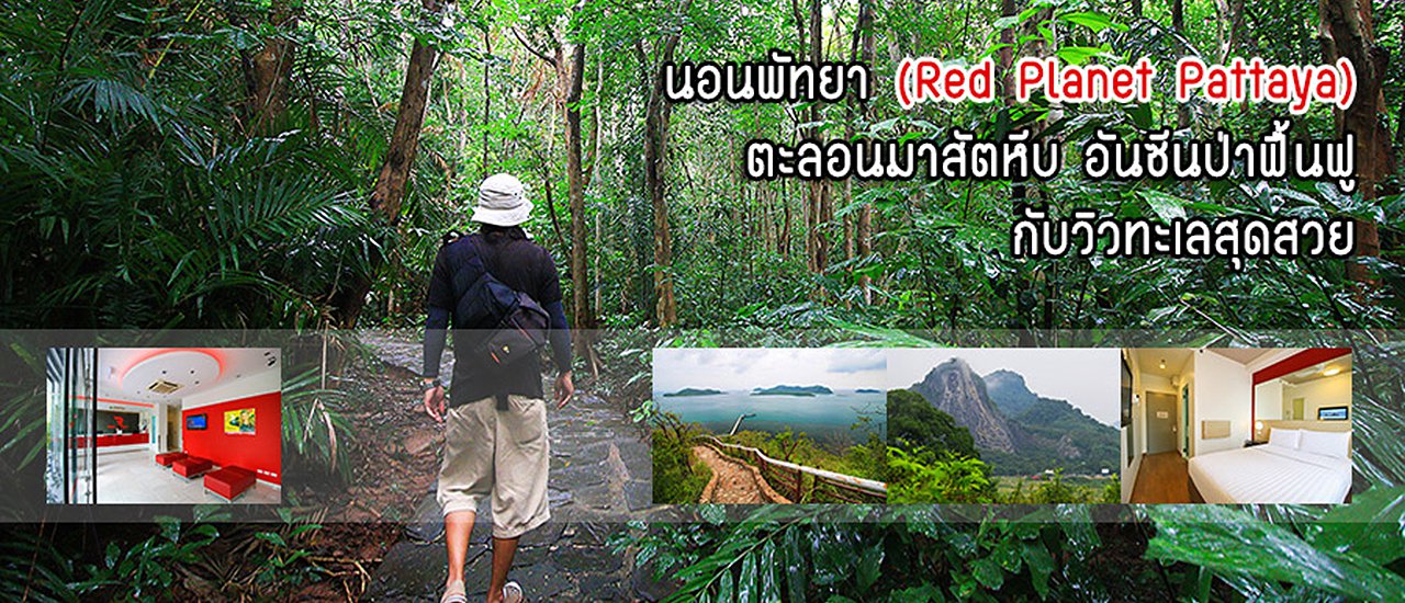 cover นอนพัทยา (Red Planet Pattaya) ตะลอนมาสัตหีบ อันซีนป่าฟื้นฟู กับวิวทะเลสุดสวย