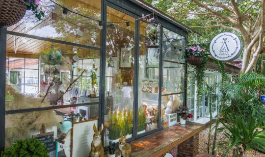 cover Campfire Coffee with Happy Camper in Rayong