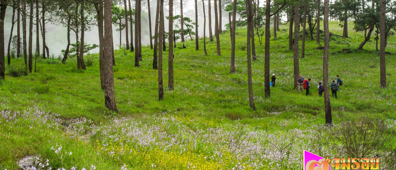 cover Zooming off to pitch tents at "Phu Soi Dao" during the rainy season. The atmosphere is incredibly cool...