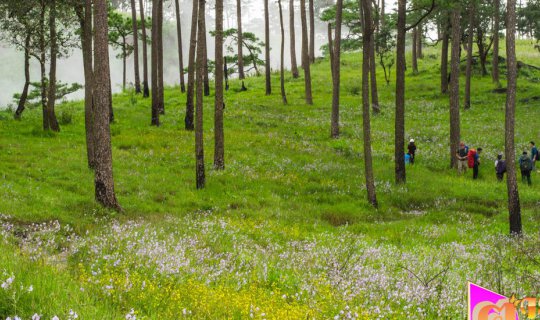 Cover Zooming off to pitch tents at "Phu Soi Dao" during the rainy season....