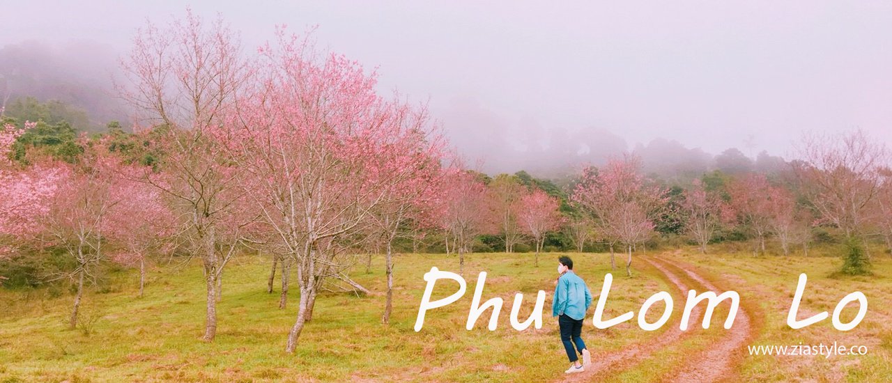 cover Phu Lom Lo, a mountain of ash, and a world of pink. Coincidence and destiny brought us together.