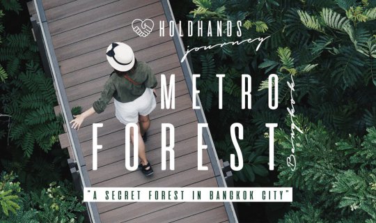 cover One-Day Forest Getaway in the City: Explore the Urban Jungle!