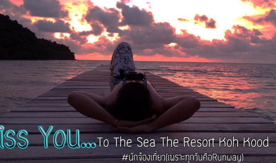 cover I miss you..To The Sea The Resort Koh Kood ความทรงจำและมิตรภาพดีๆ ที่เกาะกูด