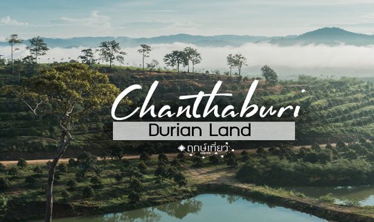 Cover Take a look at the terraced durian trees at Durian Land....