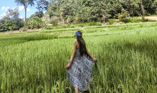 cover Not lonely in Pai because he is by my side.