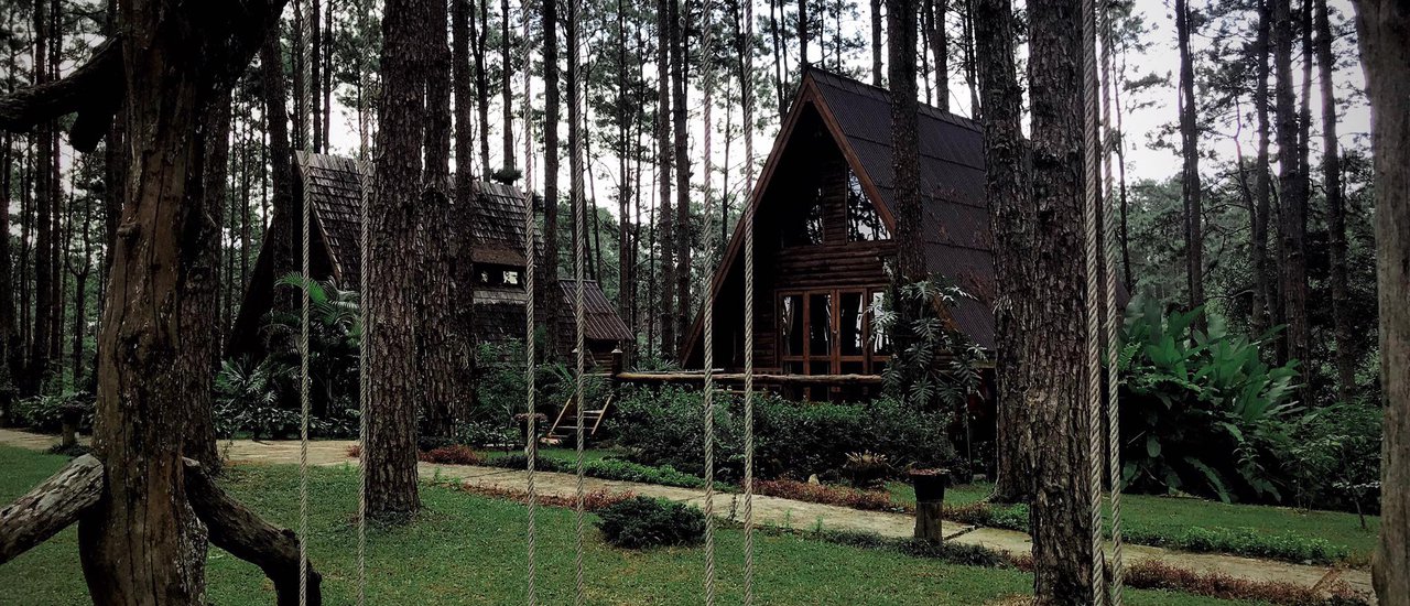 cover Chiang Mai in the late rainy season, early winter: Camping under the pine trees 🌲 🏕