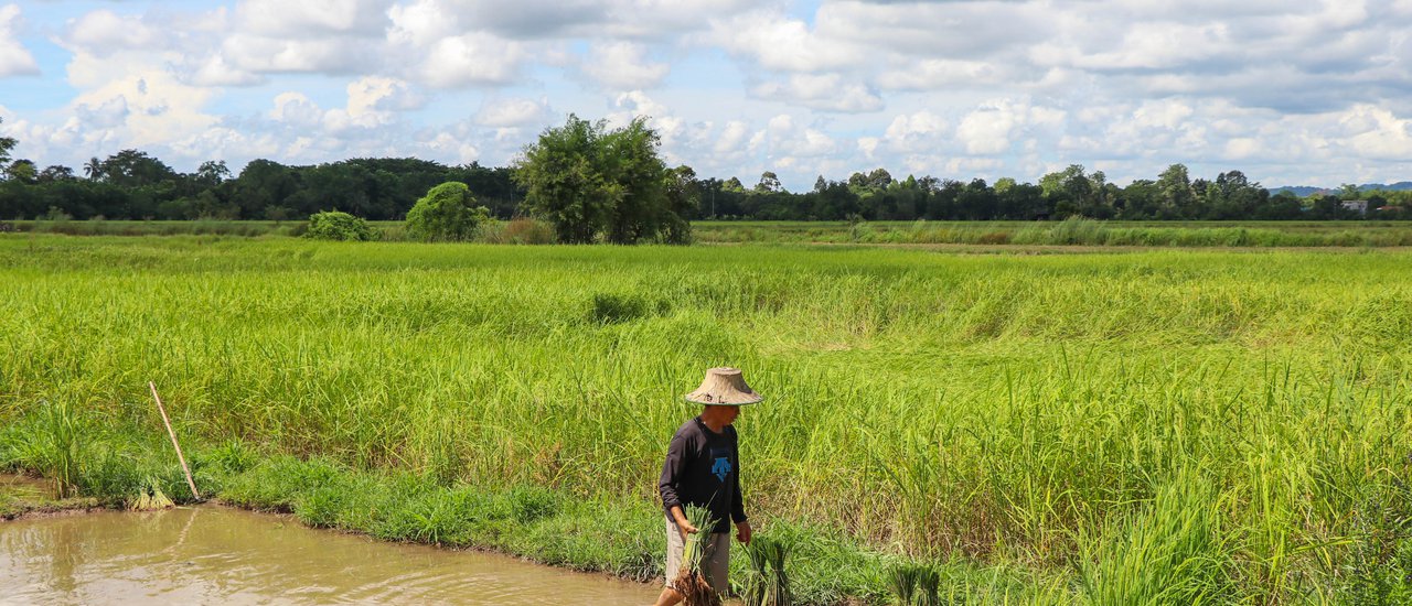 cover Experience "Innovative Ways" in "Nakhon Nayok": Slow Life, Far from Pollution