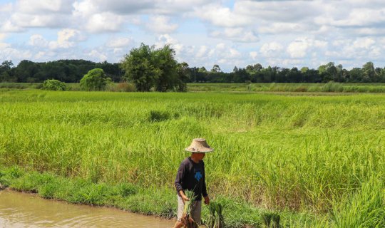 Cover Experience "Innovative Ways" in "Nakhon Nayok": Slow Life, Far from ...