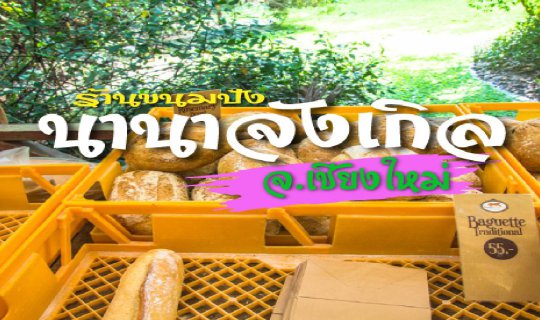 cover Nana Jungle, Baan Suan Phai Lom, and the Bread Market: A Relaxing Atmosphere