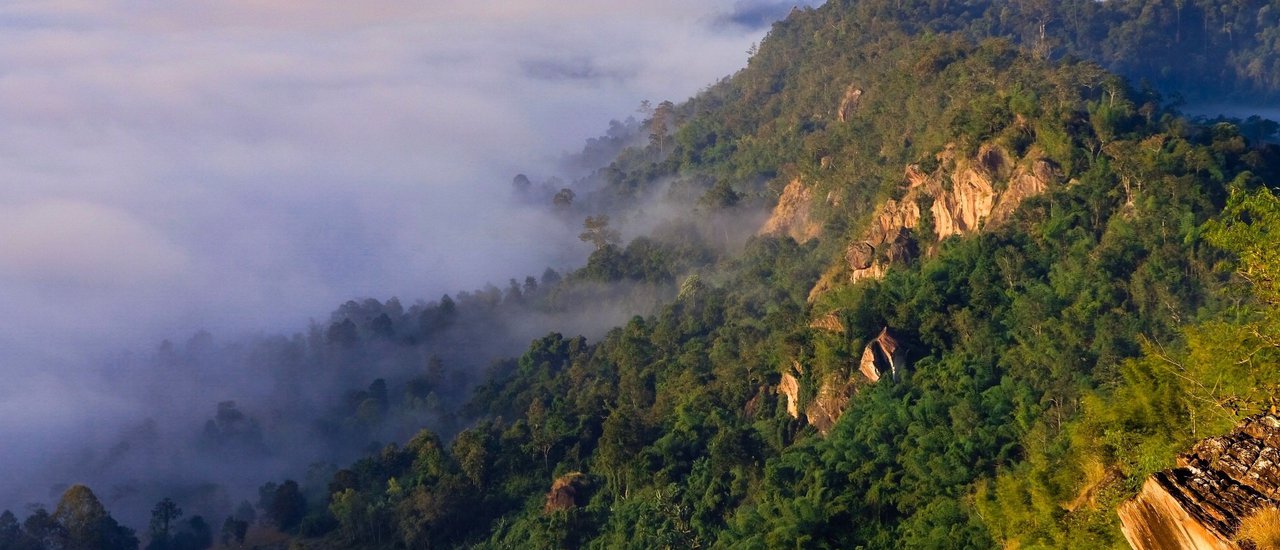 cover Conquering the Sea of Mist at Khao Pok Loen.