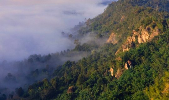 cover Conquering the Sea of Mist at Khao Pok Loen.