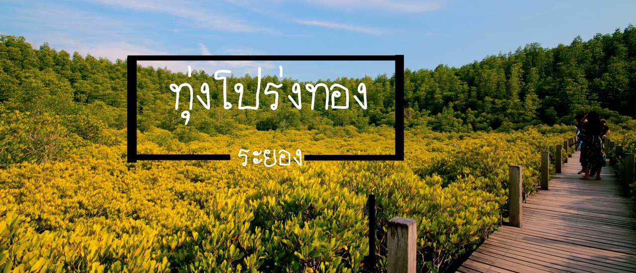cover How about enjoying the fresh air at Thung Prang Thong?