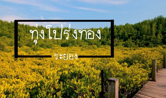 Cover How about enjoying the fresh air at Thung Prang Thong?...