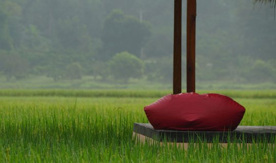 Cover A brief overview of Ang Khang, a stay in Chiang Dao at "Baan Phor Do...