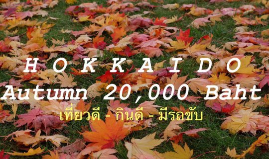 cover Hokkaido's Autumn Foliage: A Trip for Everyone at 20,000 Baht

This sentence advertises a trip to Hokkaido to see the autumn foliage for 20,000 Baht. It emphasizes that the trip is accessible to everyone.