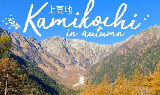 cover Kamikochi in Autumn: Falling in Love with the Forest on a Clear Day with Changing Leaves