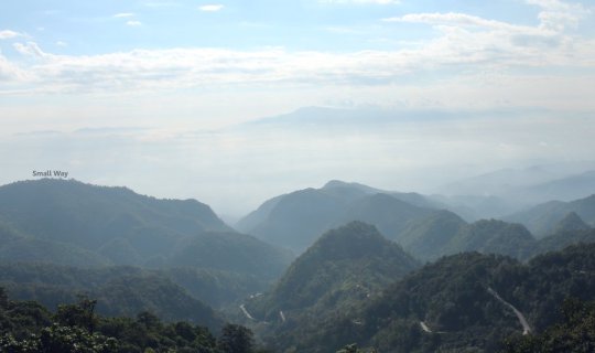 Cover Through the Mist, Up the Mountain: A Blanket of Fog on a Cloudy Day ...