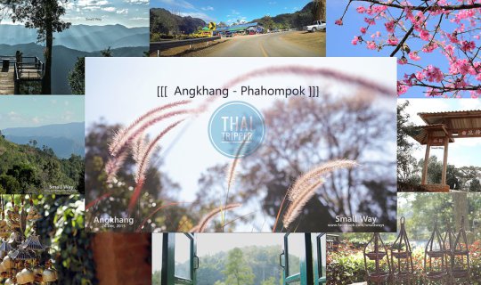 cover Navigating the Forest Through the Mist: Reaching the Summit of Doi Pha Hom Pok in Overcast Conditions (EP. 5) - A Journey Through the Wilderness to the Peak