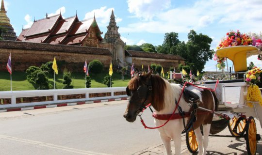 Cover Enchanting City, a city under a spell, where everyone must fall in l...