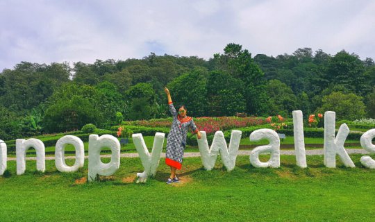 cover Here I Am #IAmHere: Canopy Walkway at the Queen Sirikit Botanic Garden, Chiang Mai