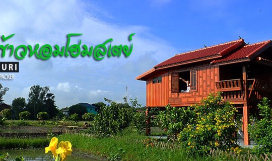 Cover Sleep by the Rice Fields: A Homestay Near Bangkok at Baan Khao Hom H...