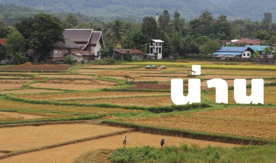 Cover Nan 2018: Rice Fields of Nan in Harvest Season...