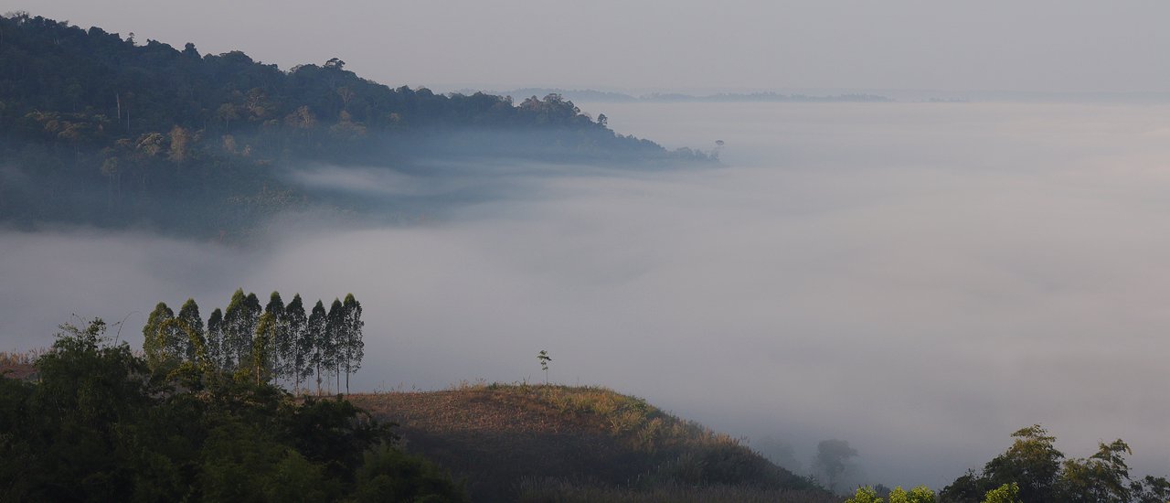 cover Khao Kho, clear sky, beautiful fog, instead of love, Pino Latte.