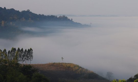 Cover Khao Kho, clear sky, beautiful fog, instead of love, Pino Latte....