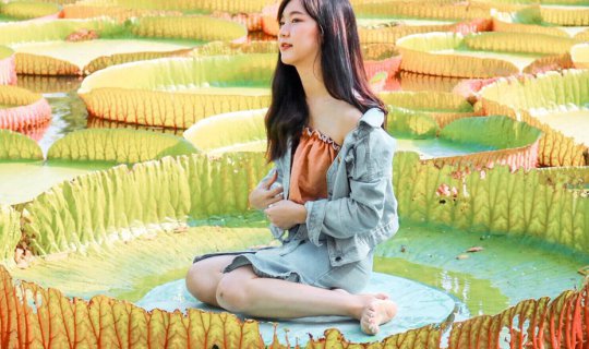 Cover Sitting on a giant lotus!!...