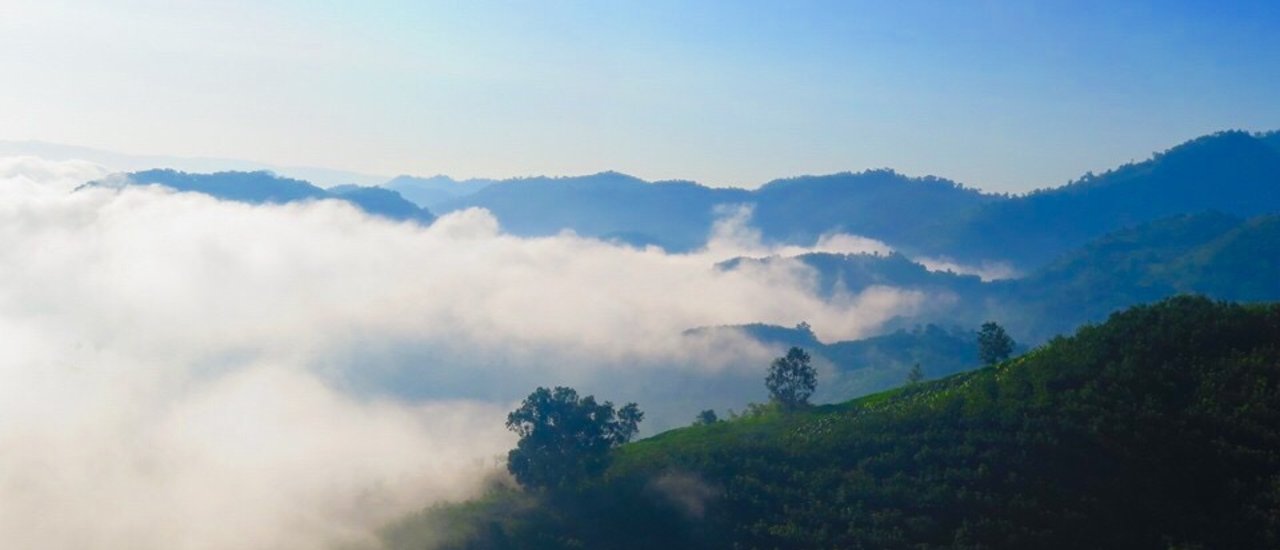 cover >>>>> ห น า ว นั้ น . . . ที่ . . . ภูห้วยอีสัน - เชียงคาน :)