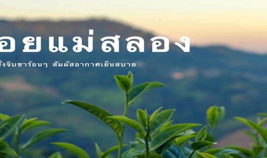 Cover Chiang Rai Trip: Exploring Doi Mae Salong...