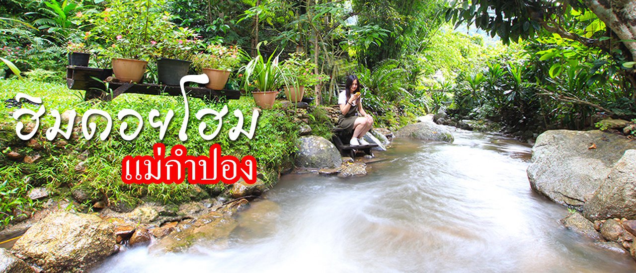 cover ฮิมดอยโฮม แม่กำปอง ลองพักแล้วหลงรัก (คืนละ 580 บาท)