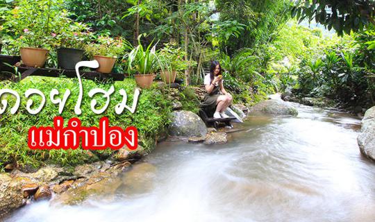 cover ฮิมดอยโฮม แม่กำปอง ลองพักแล้วหลงรัก (คืนละ 580 บาท)