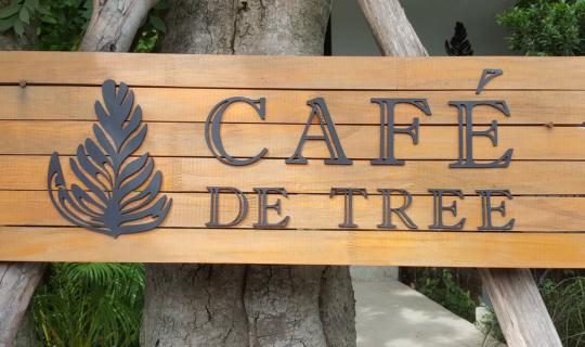 cover ณ สุโขทัย อะไรๆก็อร่อย 。◕‿◕。