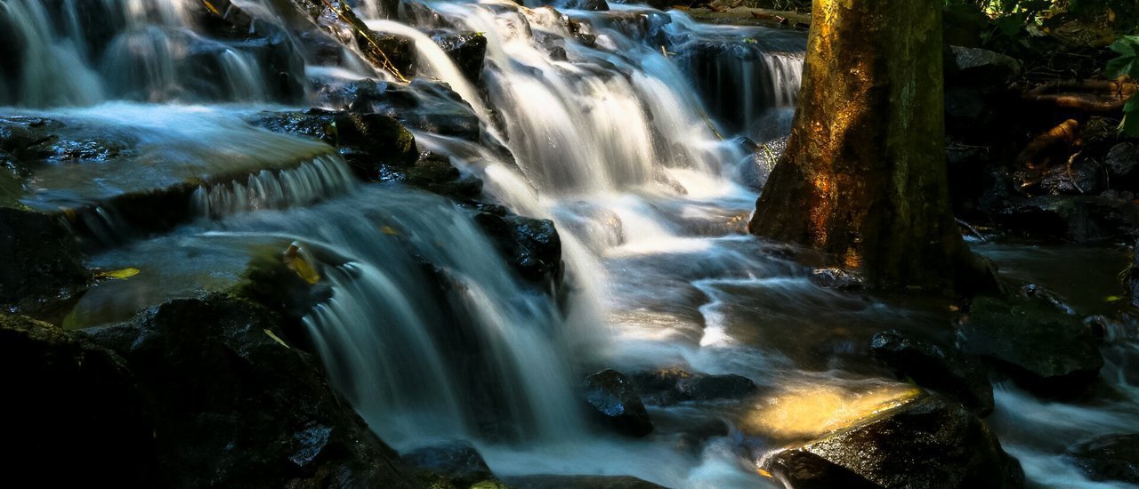 cover 2 คน 4 ขา ถือกล้องเข้าป่า ตามหาน้ำตก @ อุทยานแห่งชาติน้ำตกสามหลั่น